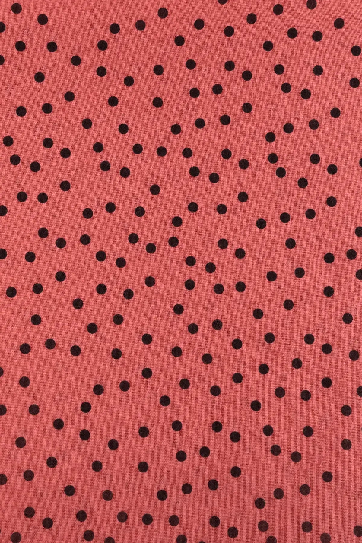 Polina tablada  shell pink