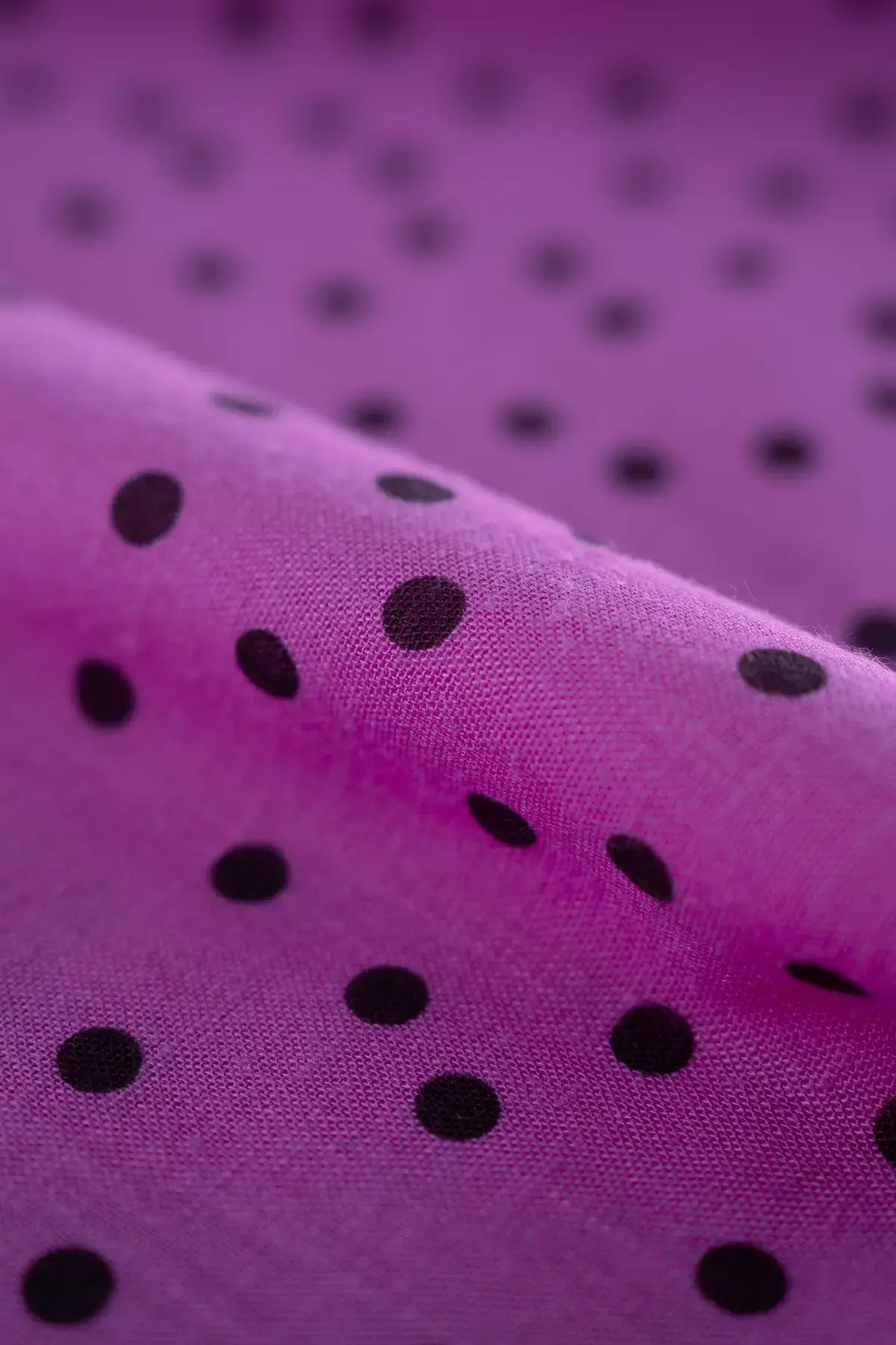 Polina tablada  dahlia mauve