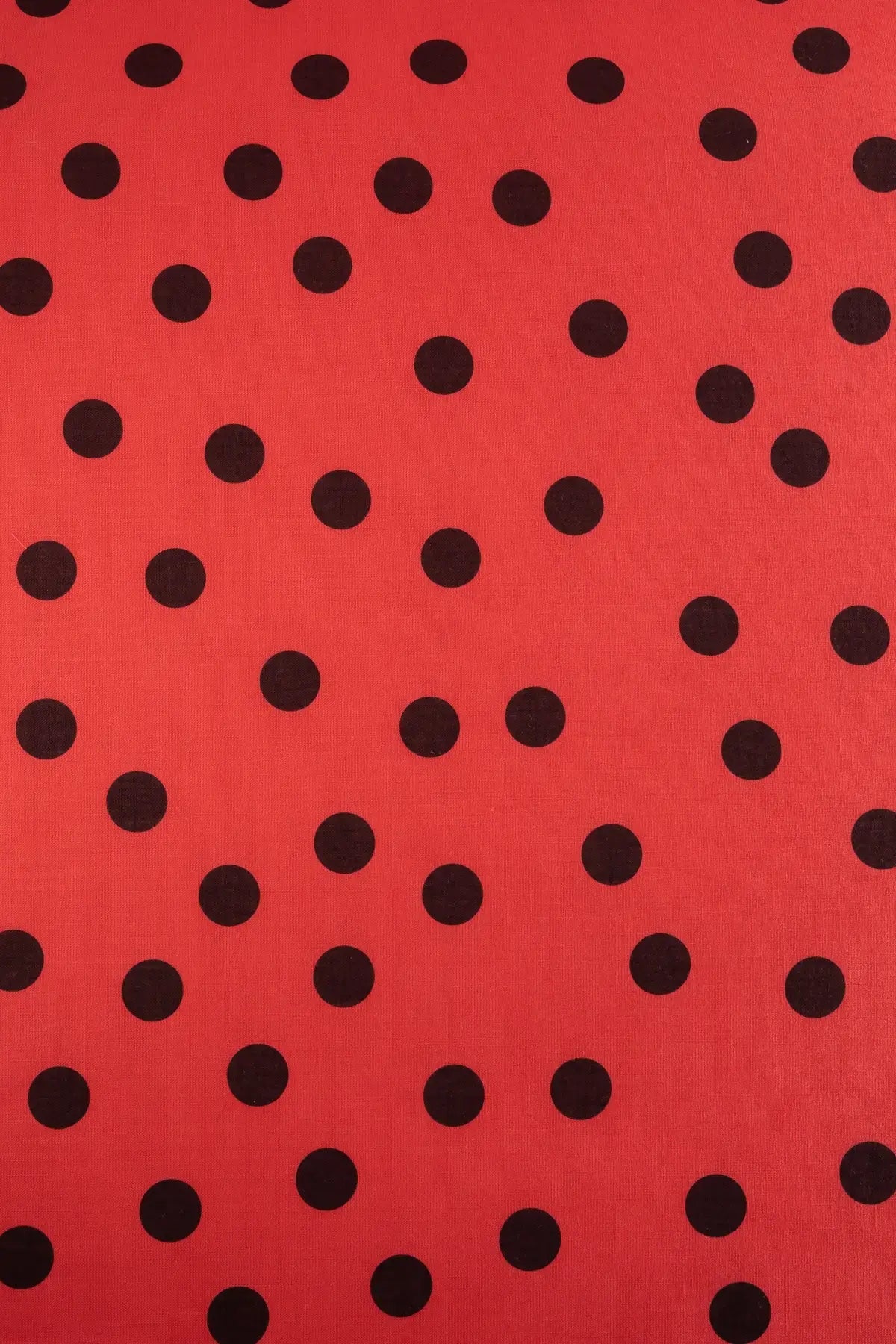 Polina remedios  poppy red