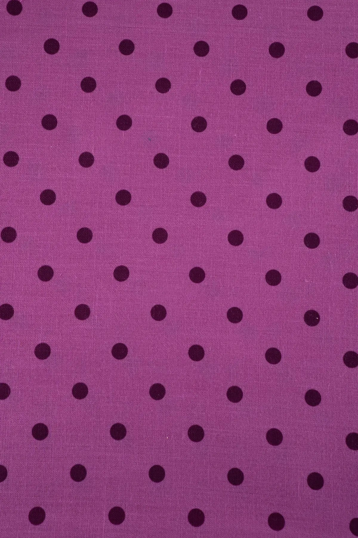 Polina remedios  iris orchid