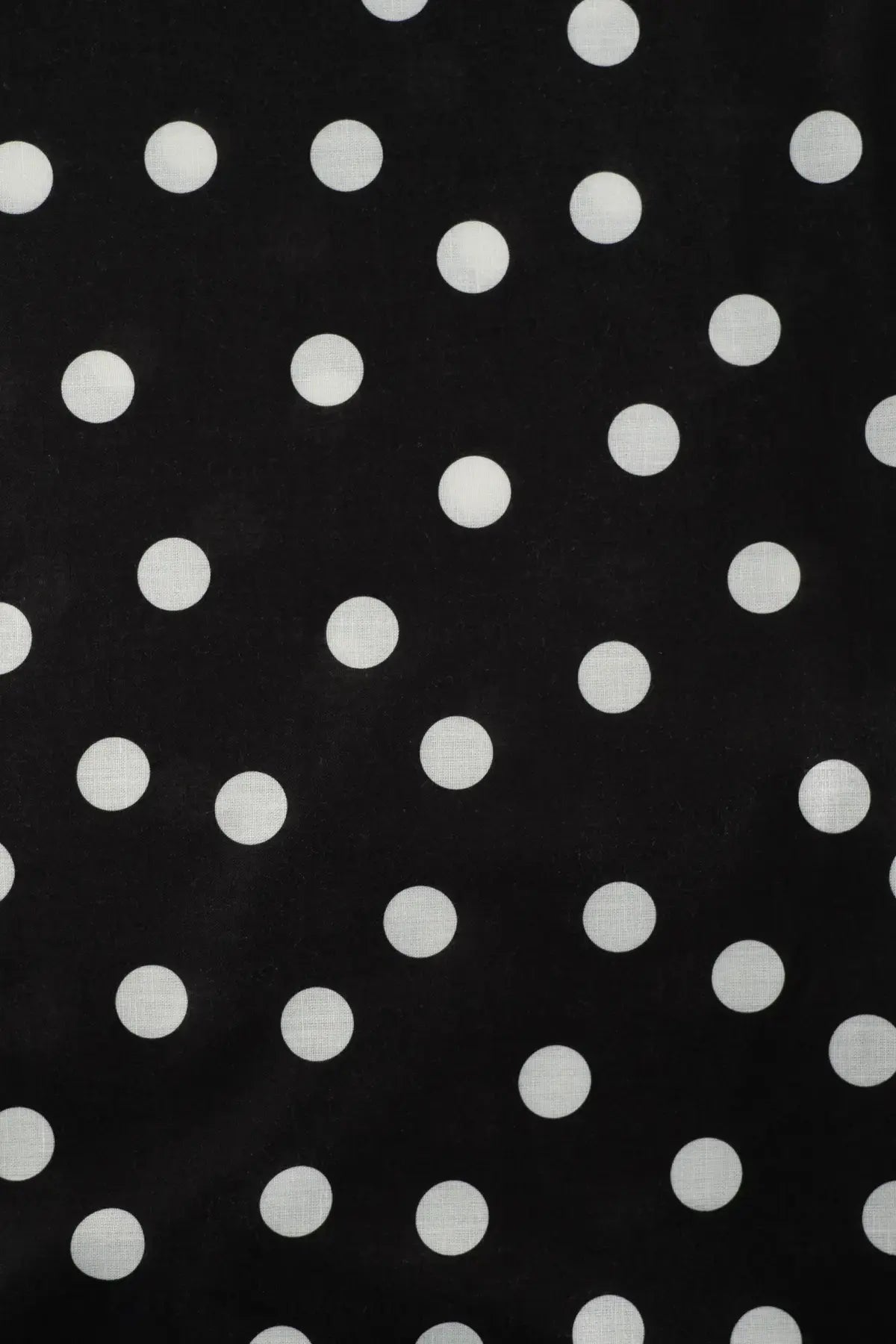 Popelin aalto  caviar