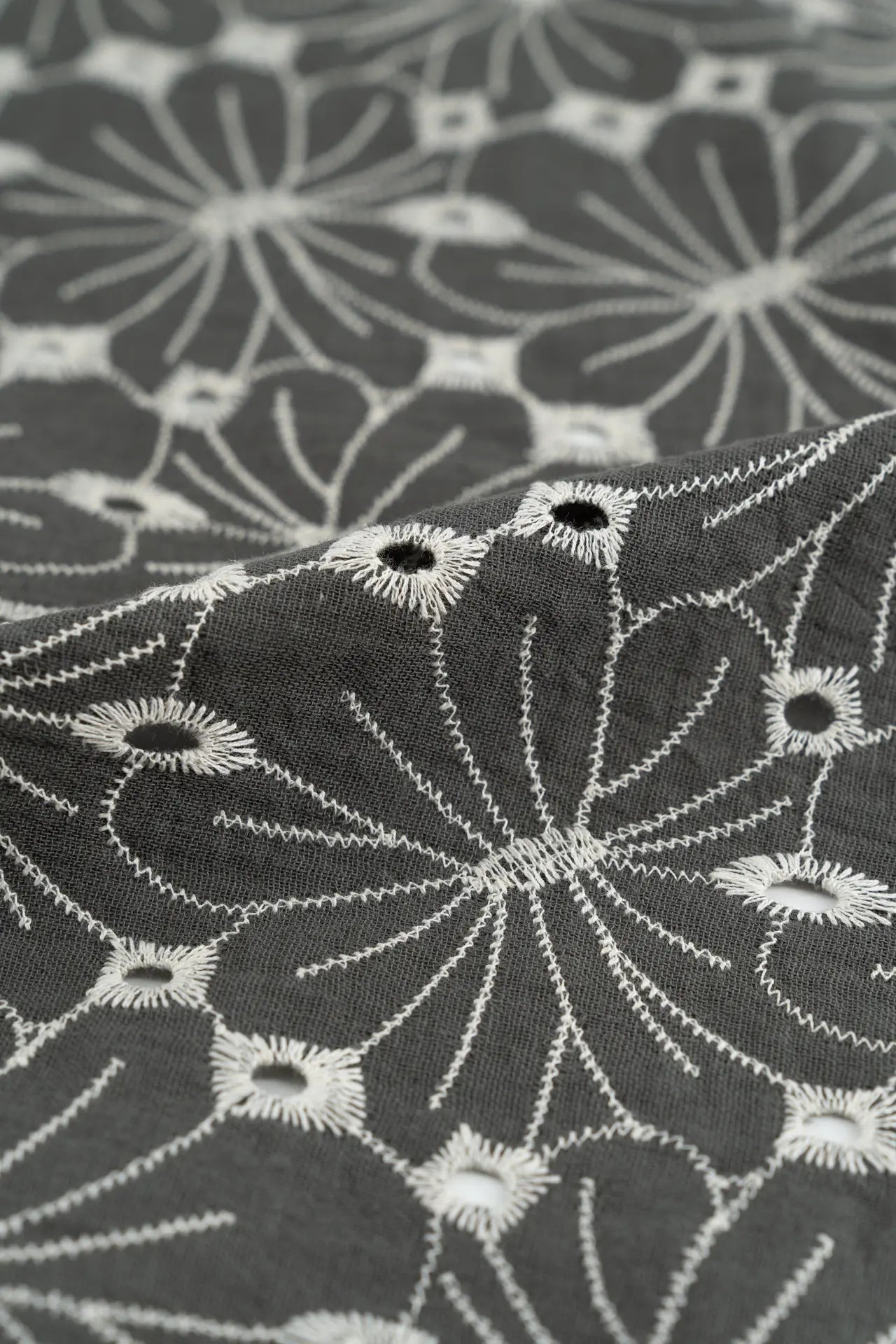 pomba dupla cinzento-escura