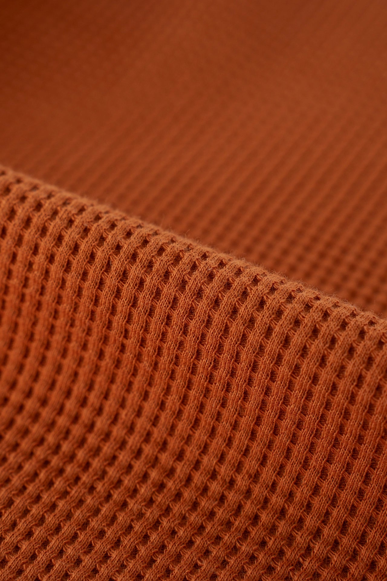 Waffle de maçã com canela