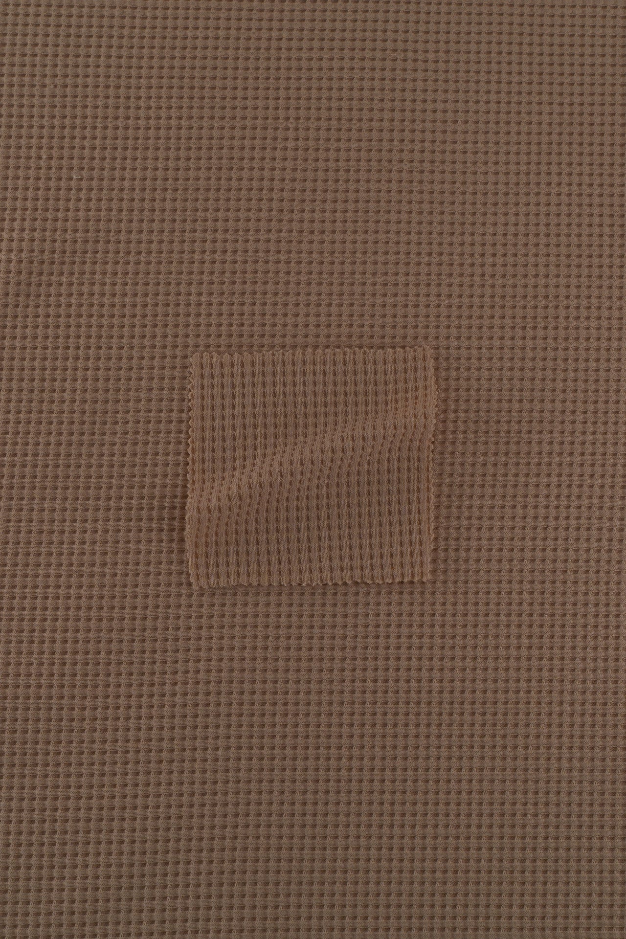 Waffle bétula castanha