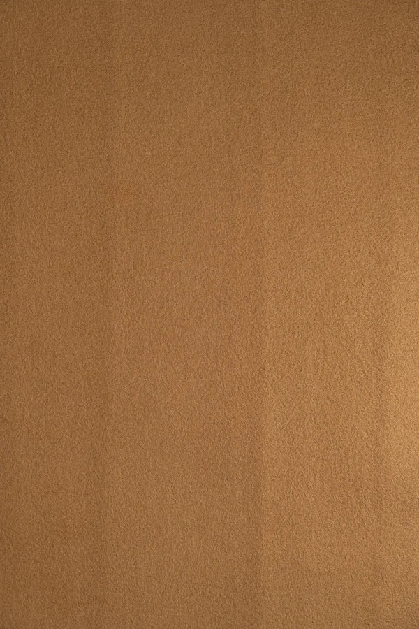 Pano camel
